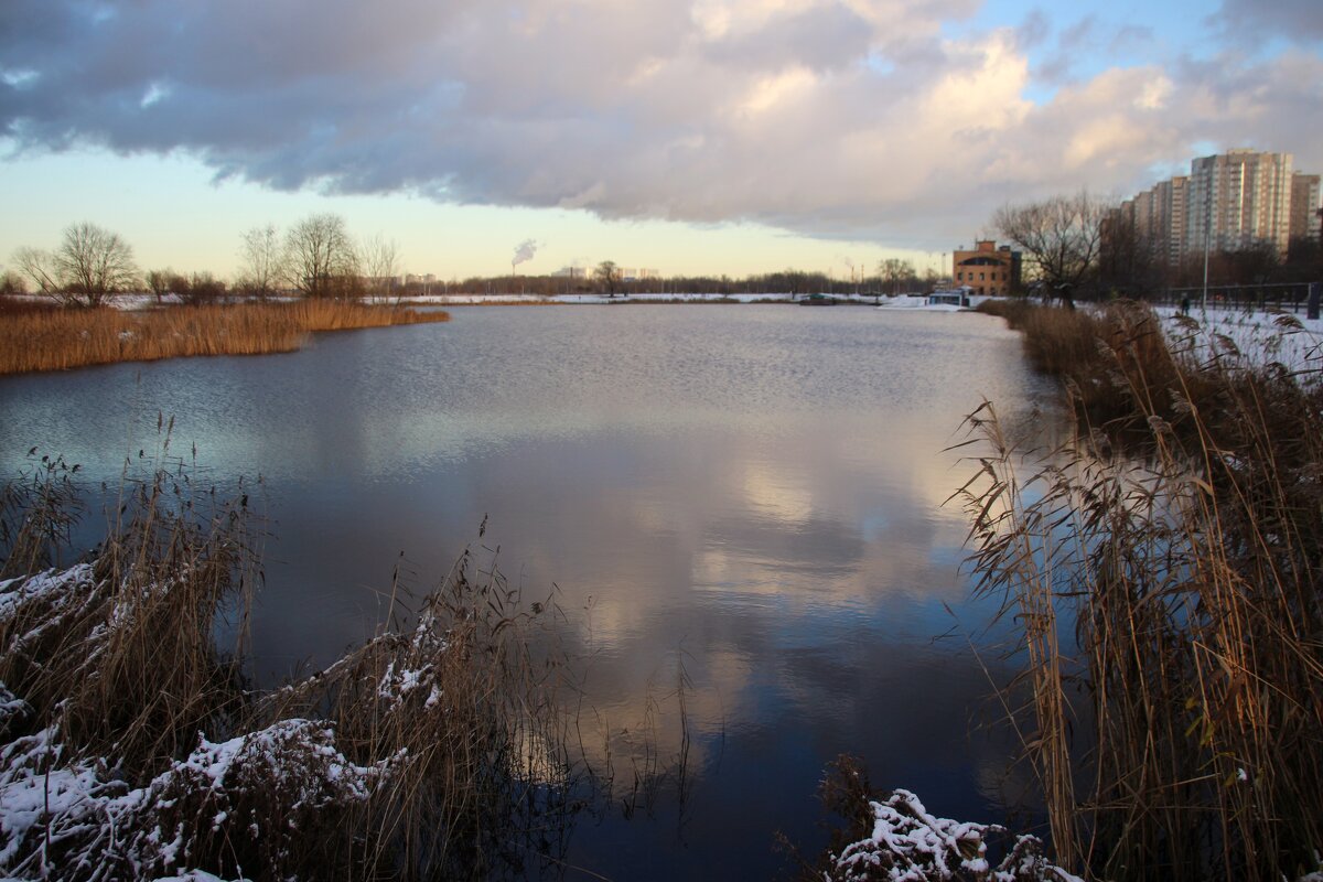 Парк Героев-пожарных. Ноябрь - Наталья Герасимова