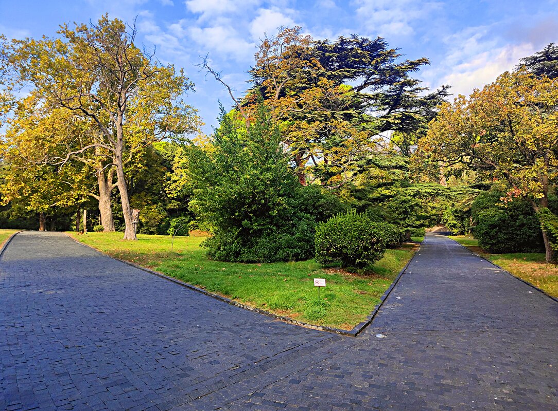 Верхний парк. - Виктор Мухин