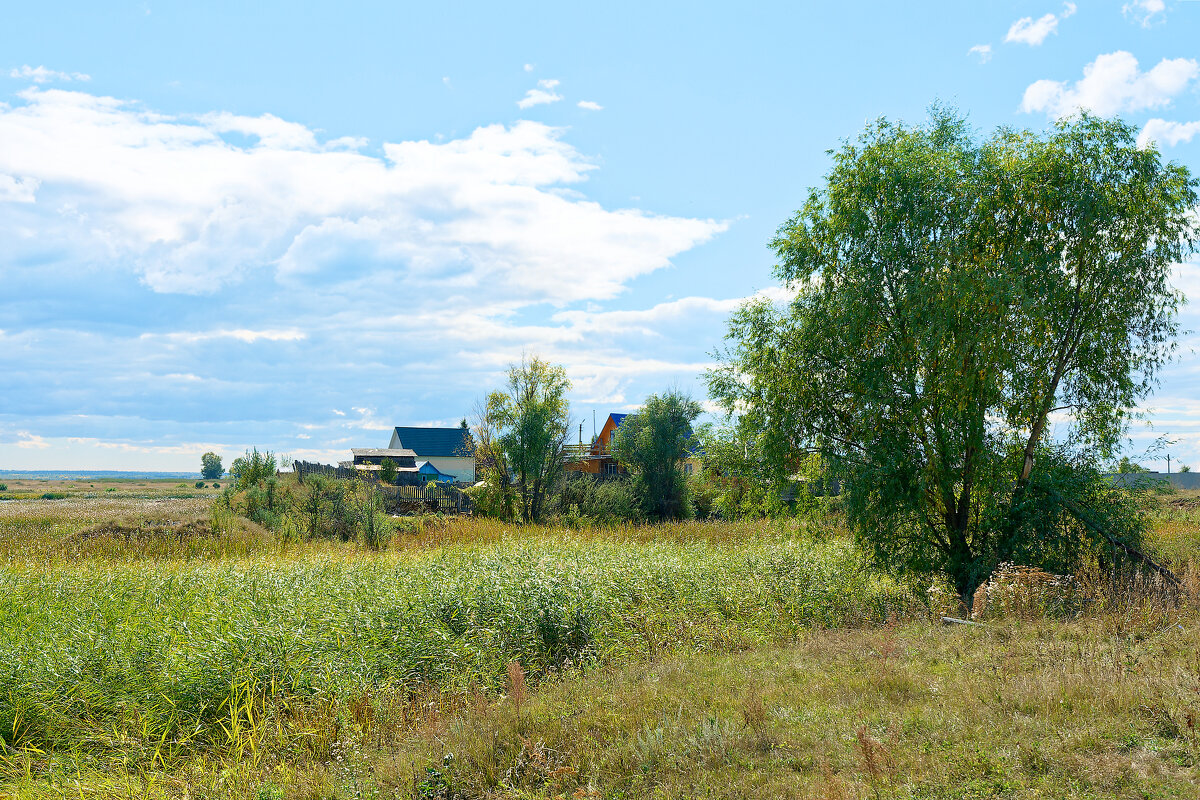 Сибирская глубинка. Домики в деревне - Дмитрий Конев