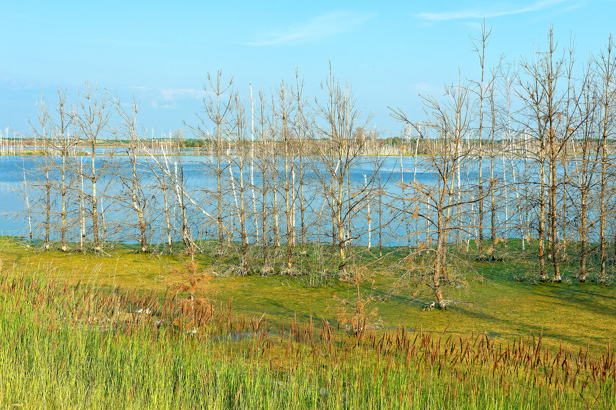 Озера, реки и водоемы Алтая и Алтайского края - Дмитрий Конев