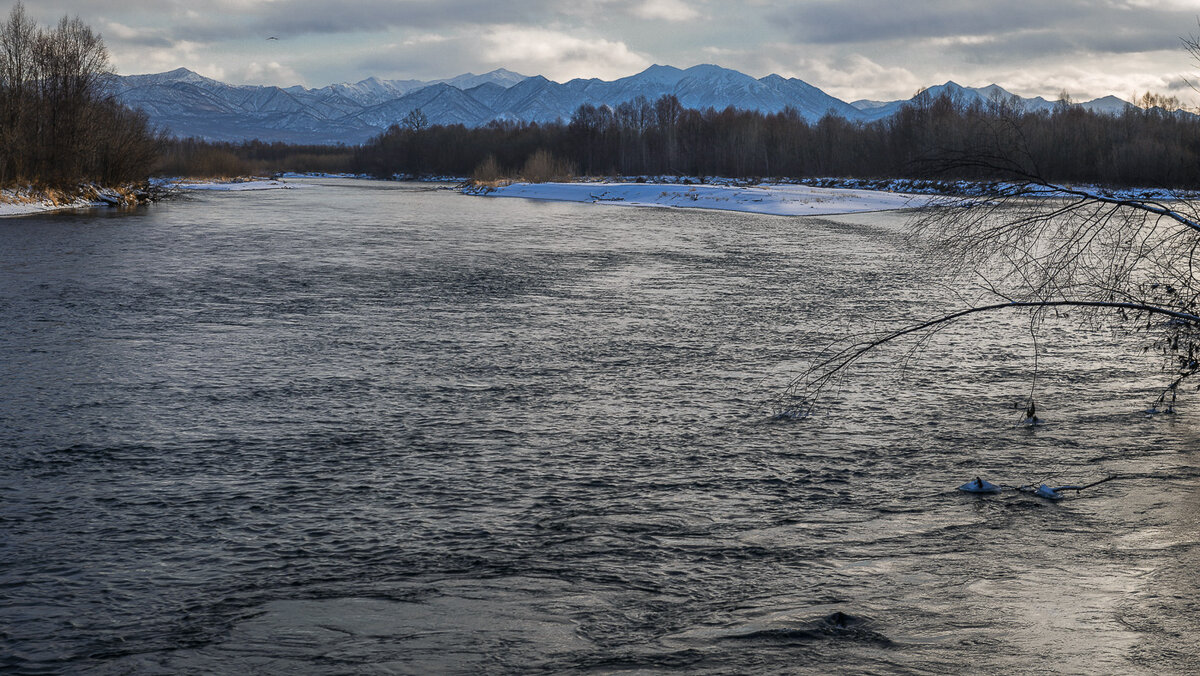 ... - Жора Житников