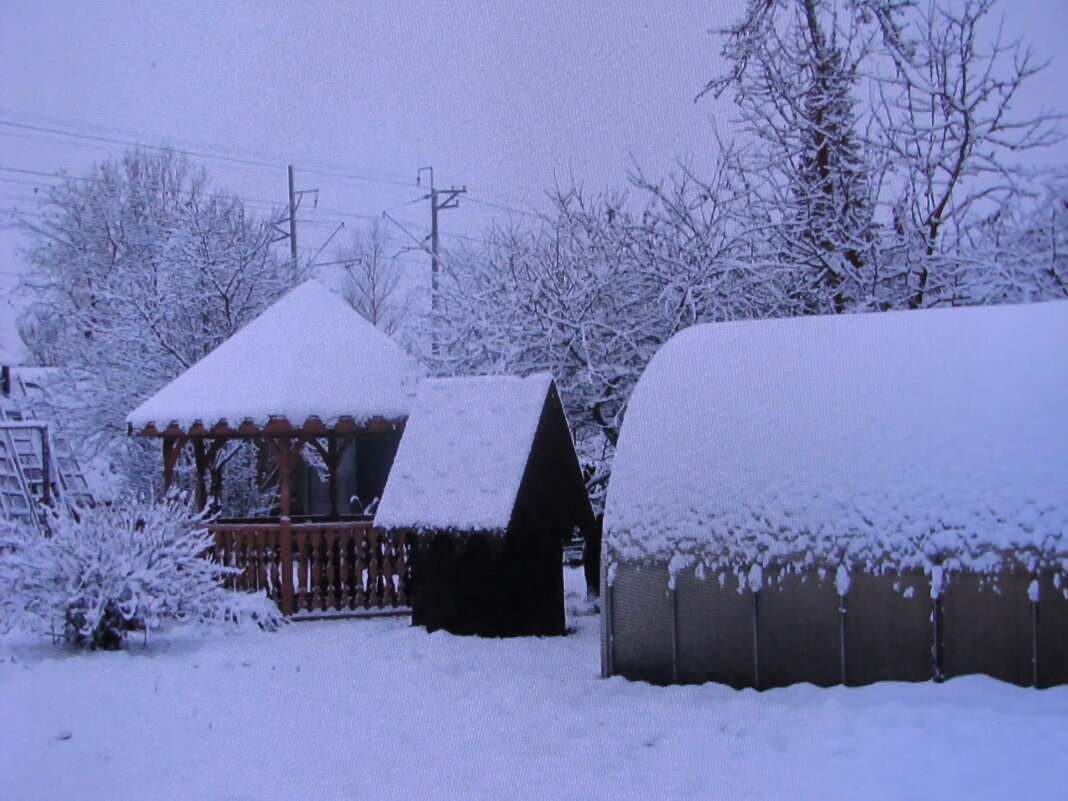 Засыпало весь сад - Людмила Смородинская
