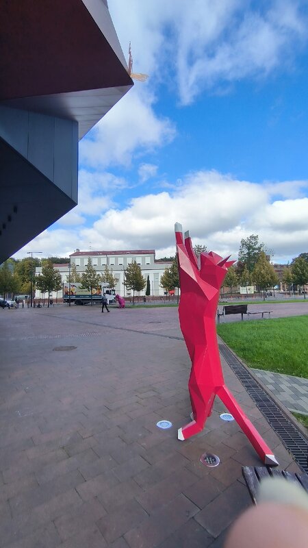 Калининградские котики. - Ольга Калининградские котики. - Ольга