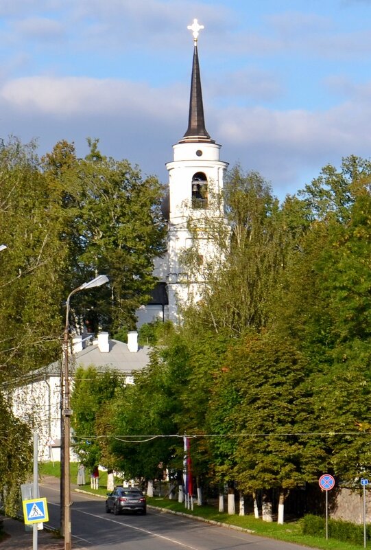 ПУШКИНСКИЕ ГОРЫ. - Виктор Осипчук