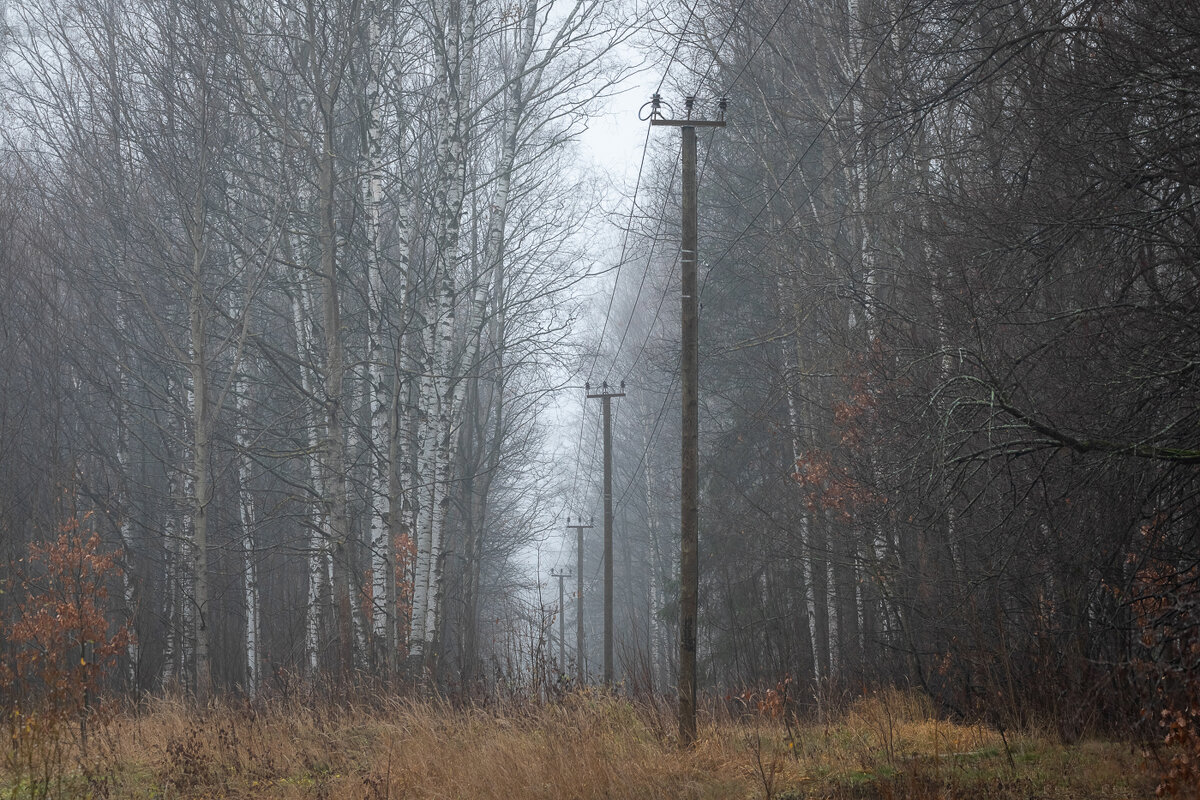 **** - Елизавета .