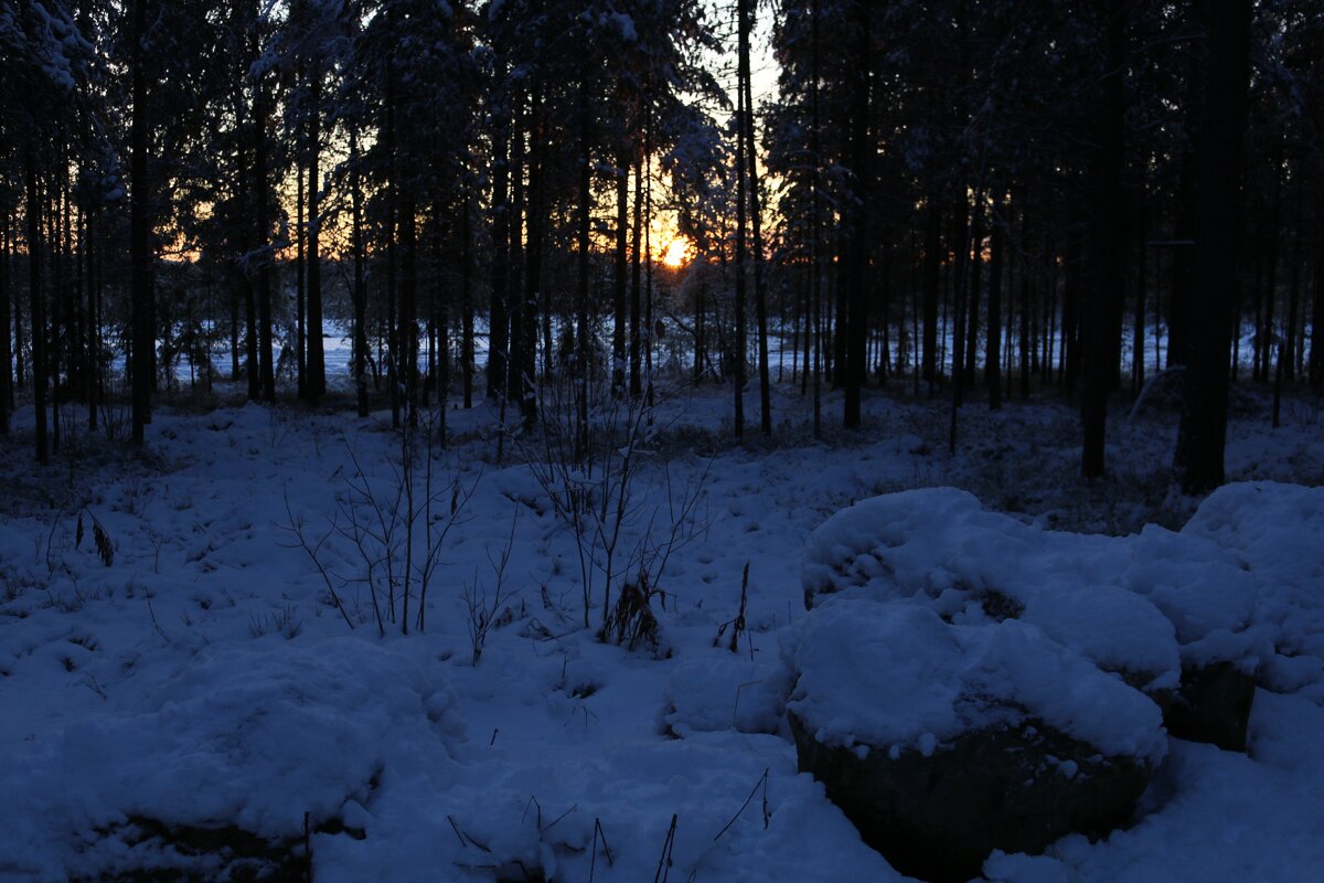 Короткие осенние дни - Ольга 