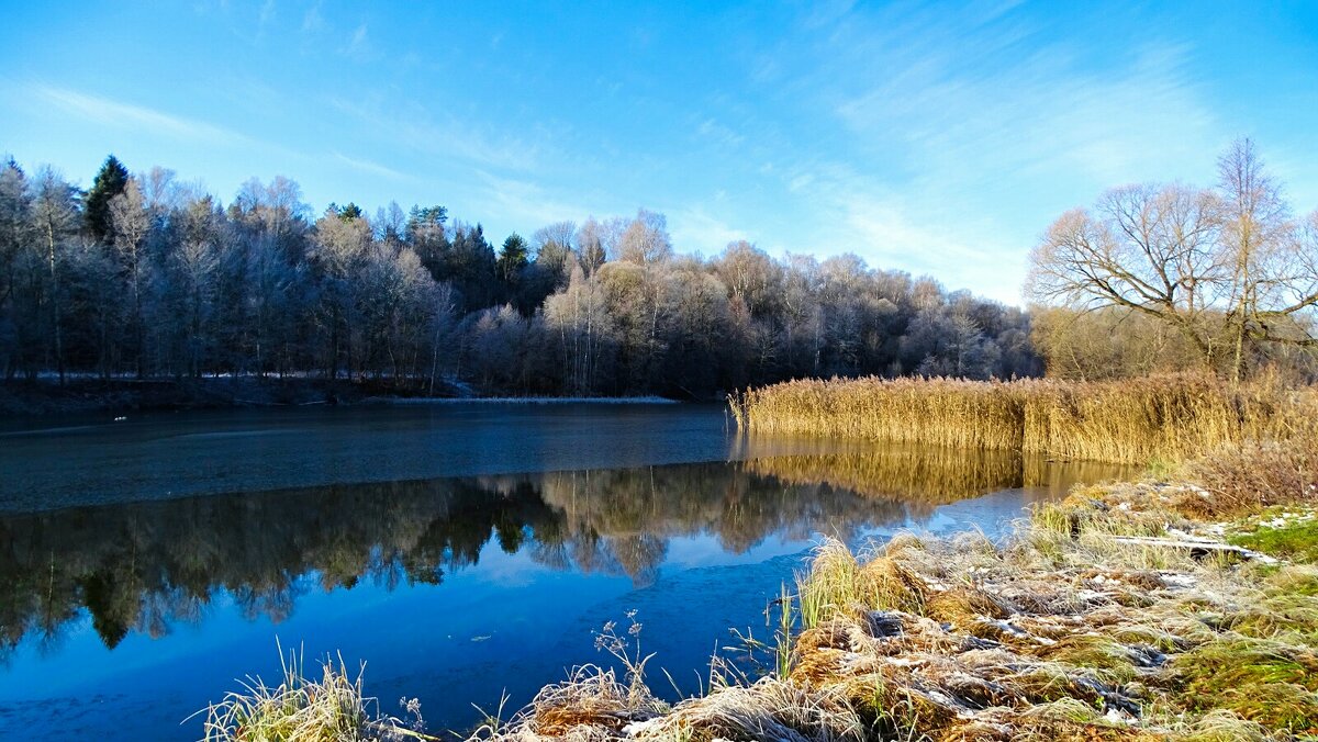 Смоленская область в середине ноября. - Милешкин Владимир Алексеевич Смоленская область в середине ноября. - Милешкин Владимир Алексеевич