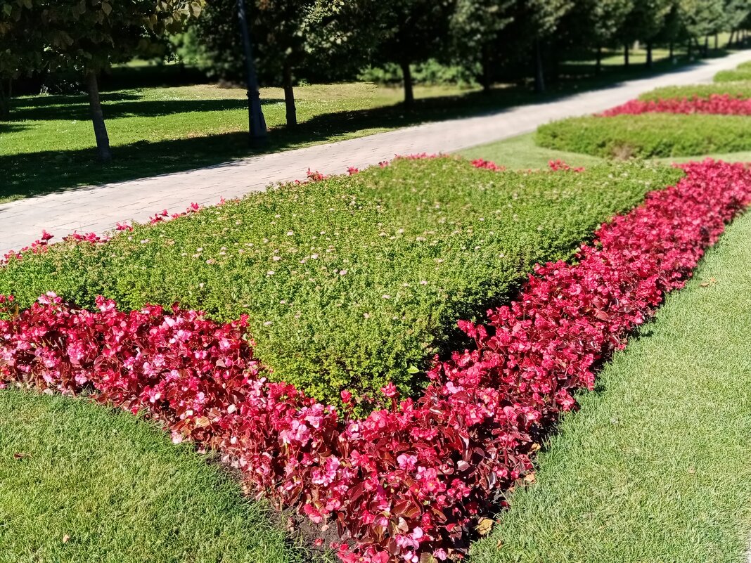 Осень. - Владимир Драгунский