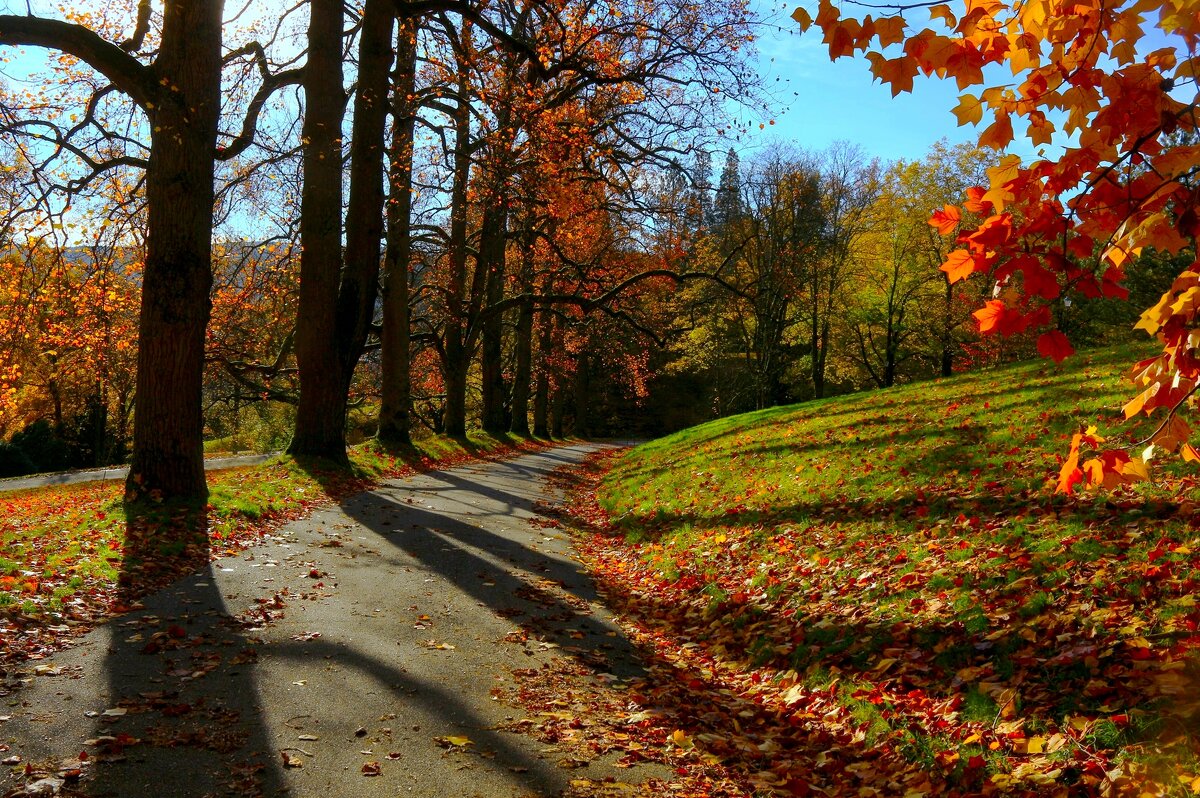 Солнечное утро - Юрий. Шмаков