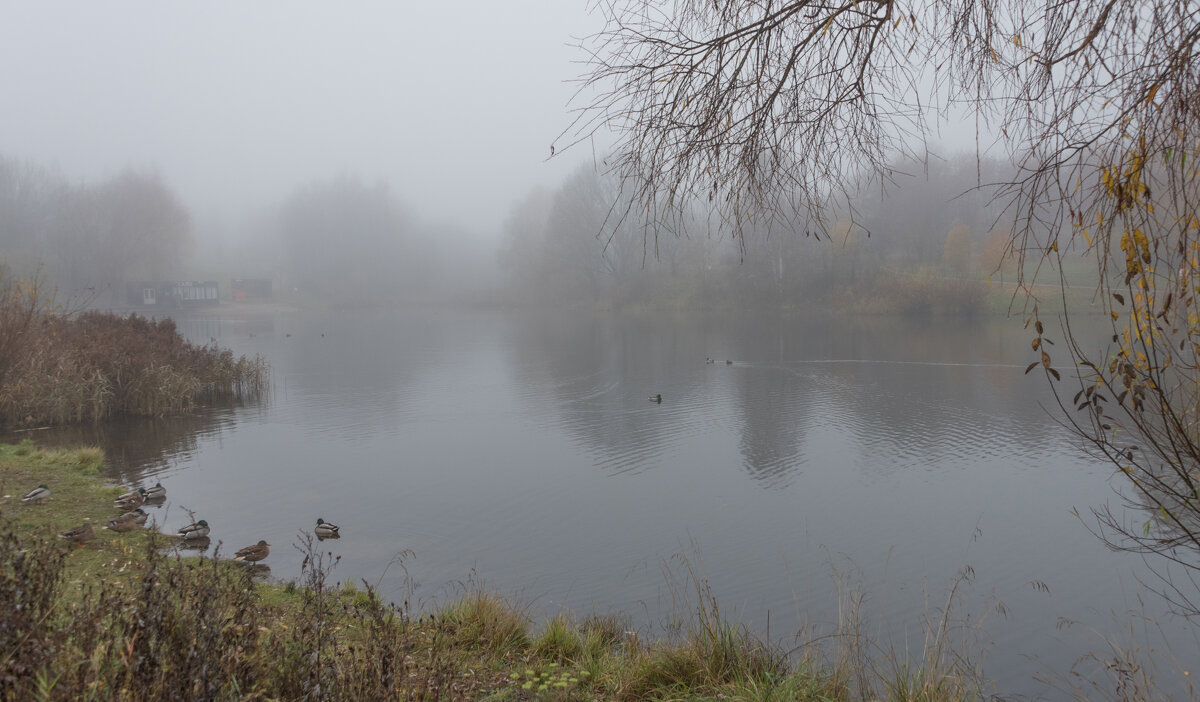 ** - Владимир Безбородов