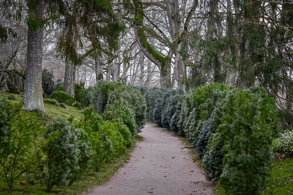 Tallinn, Fotograaf Arkadi Baranov, FEP, Estonia - Аркадий  Баранов Arkadi Baranov