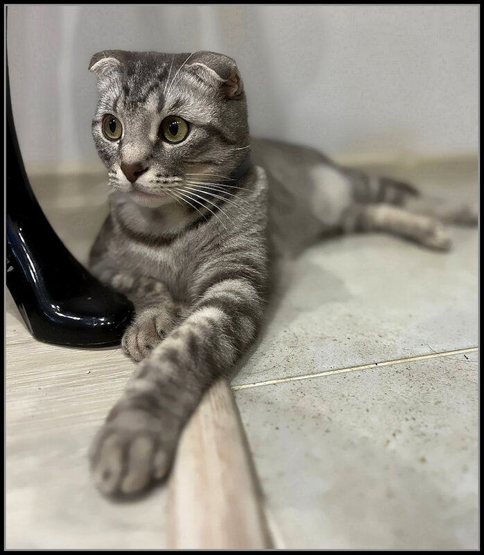 Шалун Боря - Ольга Довженко