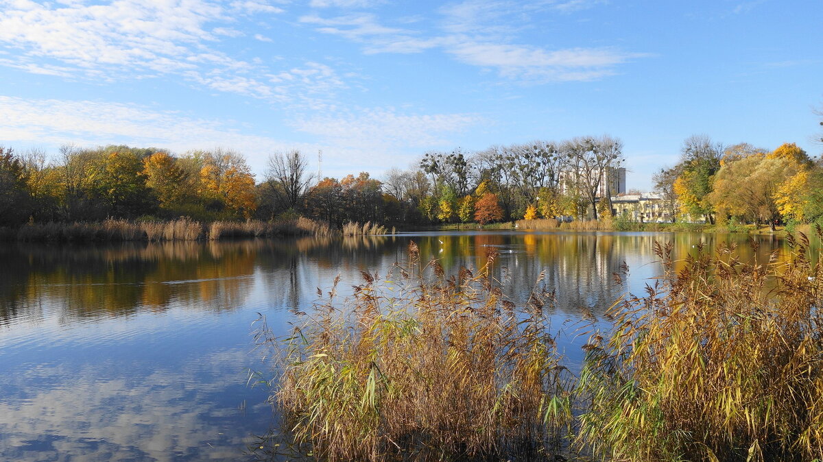 Ноябрьский пейзаж - Рита Симонова