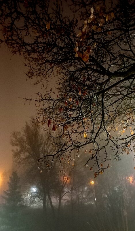 Ночной туман - Tina Kott