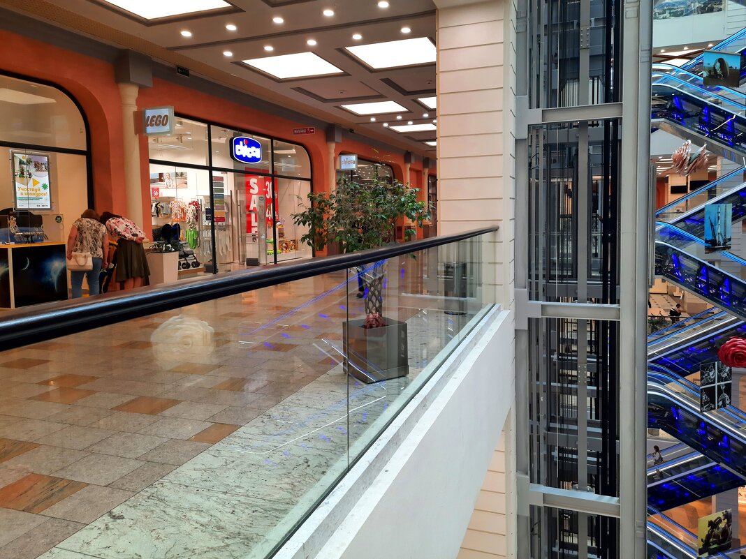 Галерея Чижова - Андрей Л. В.