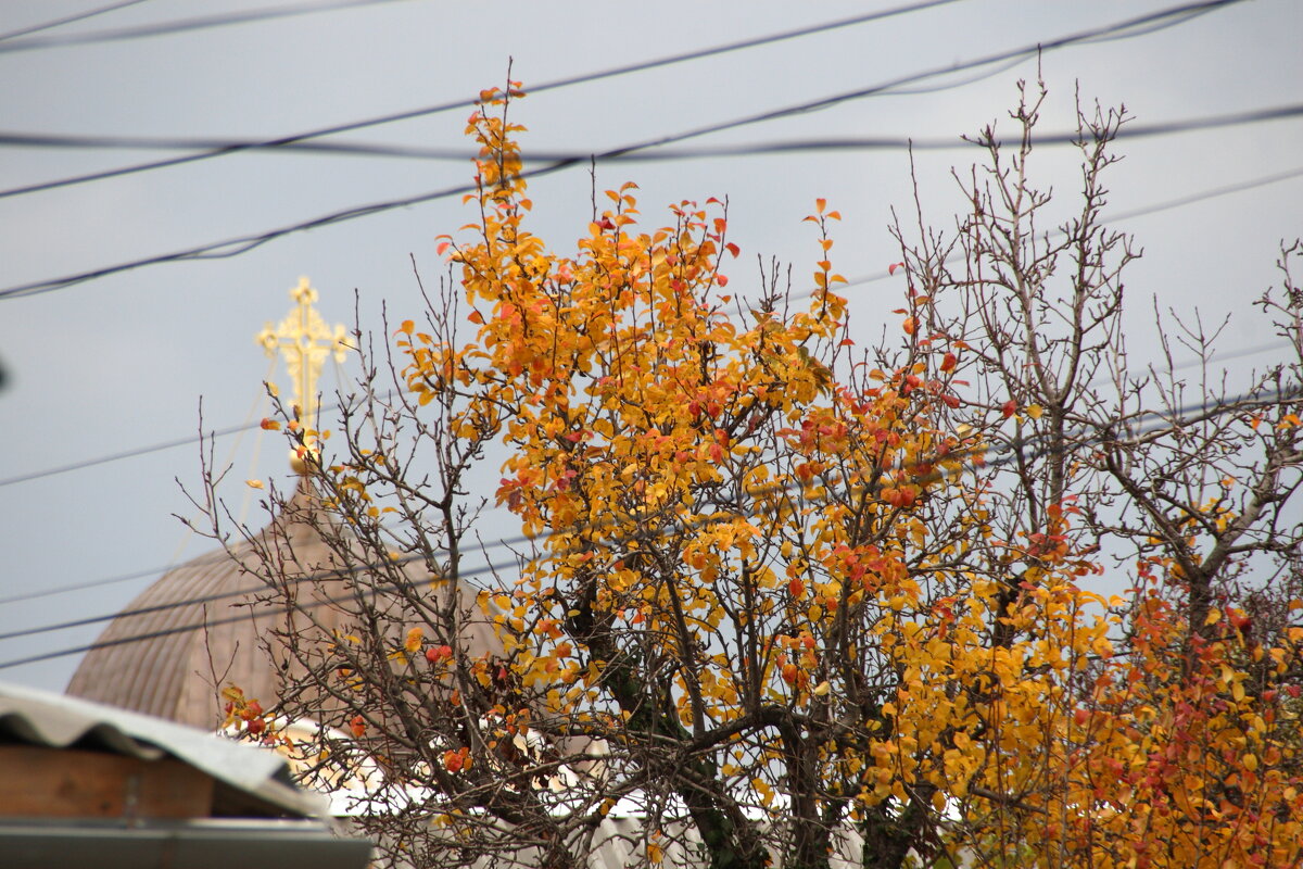 в Старом городе - Всеволод 