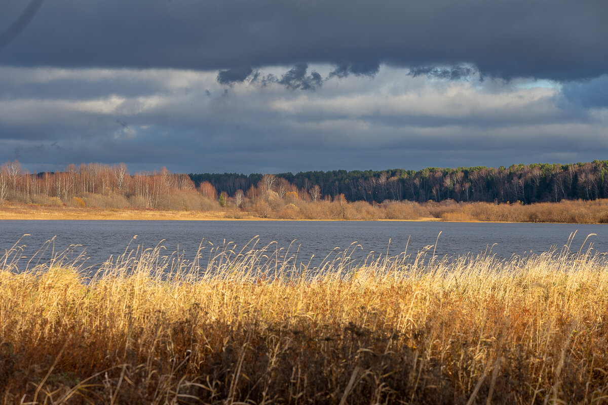 Поздняя осень. - Андрей Дурапов