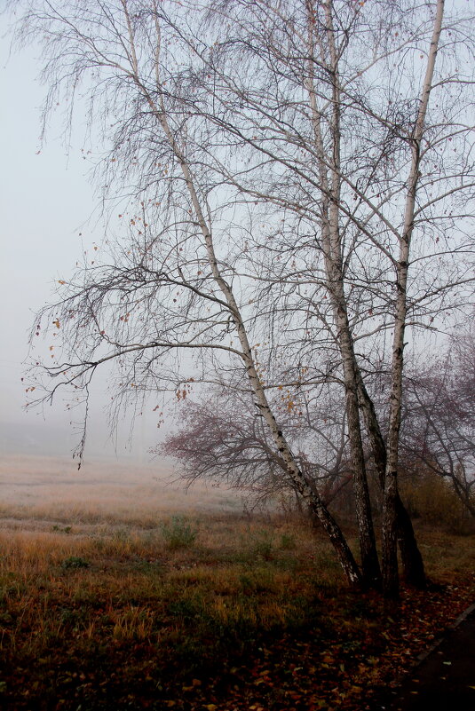 Осень - victor Lion