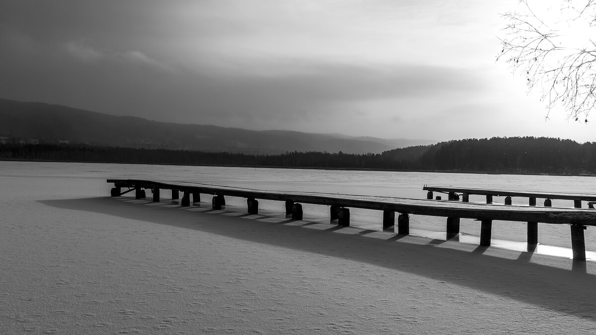 Ноябрь съел все краски. - Вадим Басов