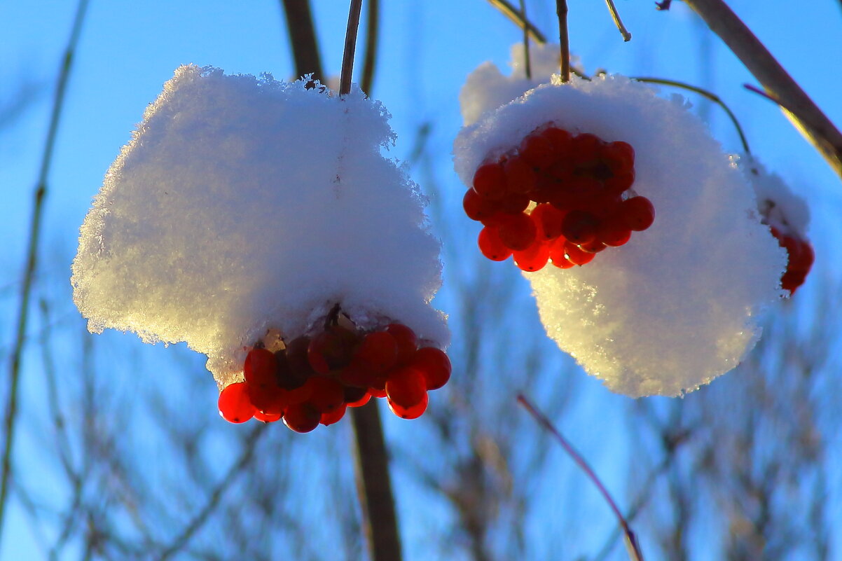 Шапка Мономаха - Нина северянка
