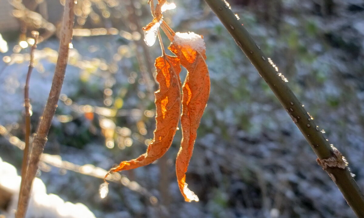 Поцелуй. - Михаил Колосов 