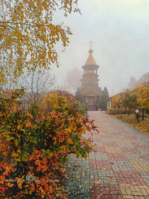 Туман - Игорь Сарапулов