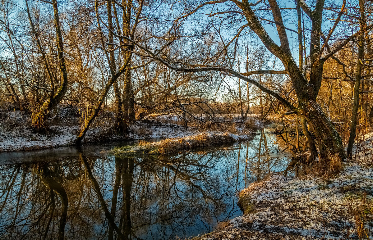 Первый снег 4 - Андрей Дворников Первый снег 4 - Андрей Дворников