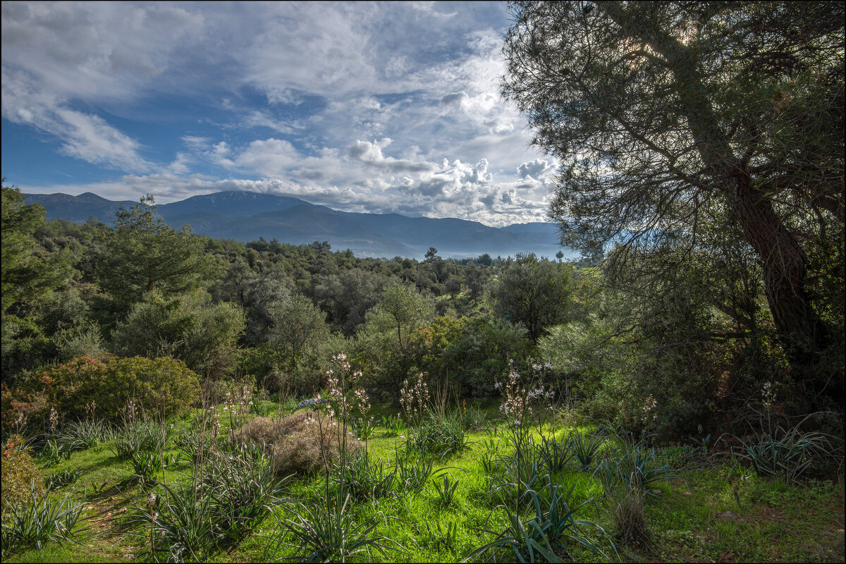 Турецкий мотив - **** vedin