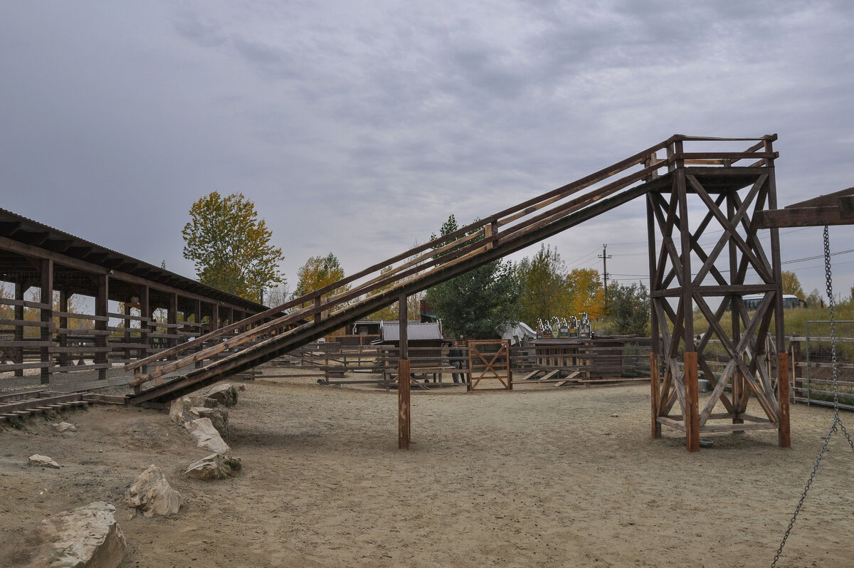 Горка для козлят в парке "Белый колодец" - Татьяна Машошина Горка для козлят в парке "Белый колодец" - Татьяна Машошина