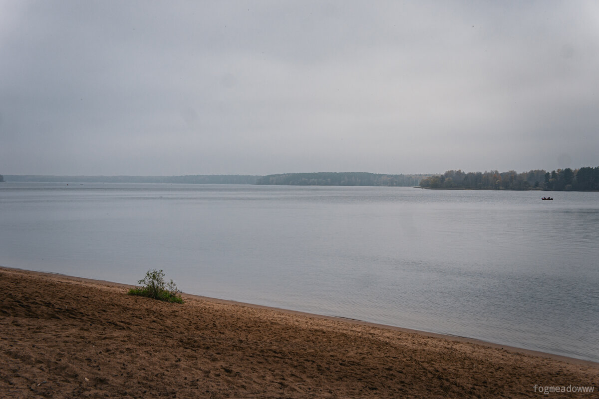 Река Волга, Конаковский бор - fogmeadowww m