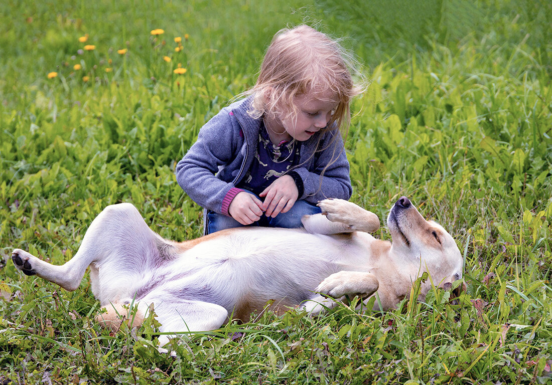 Доверие - Алексей Окунеев