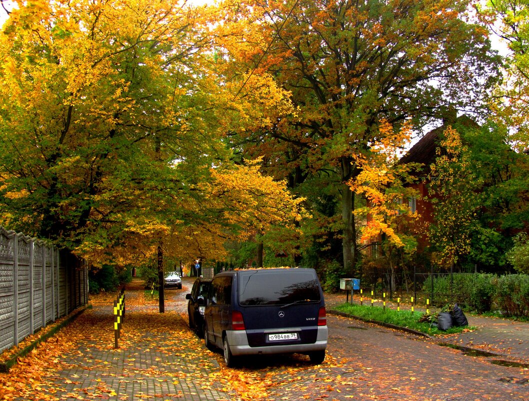 Улица Ленинградская - Сергей Карачин