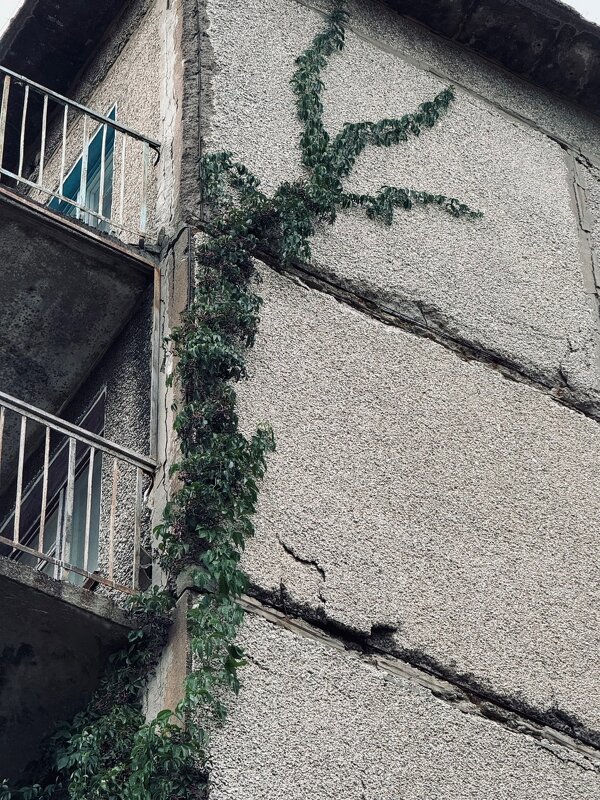 *** - Яна Горбунова