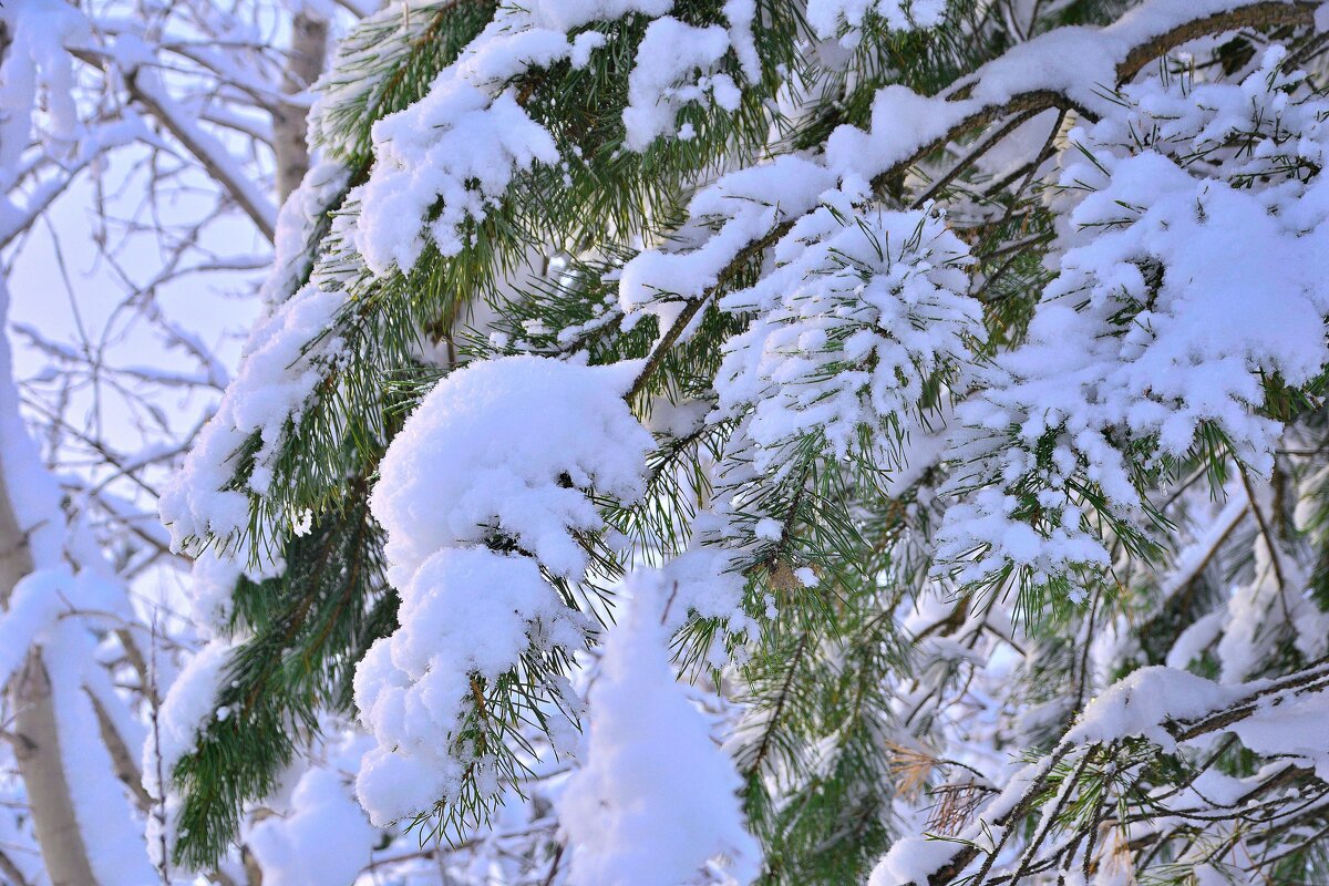 - - Владимир Мигонькин