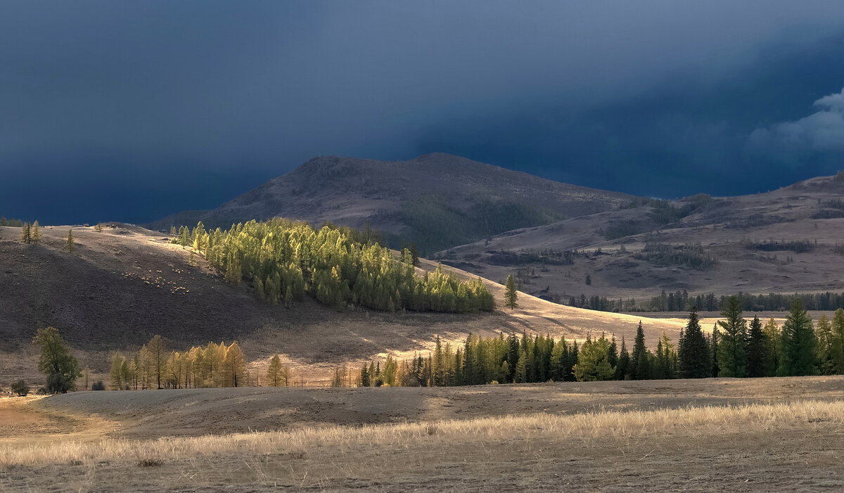 Вечер перед грозой - Марина Фомина.