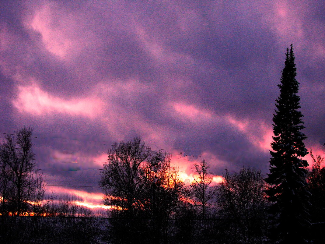 Тревожный вечер - Людмила Смородинская Тревожный вечер - Людмила Смородинская