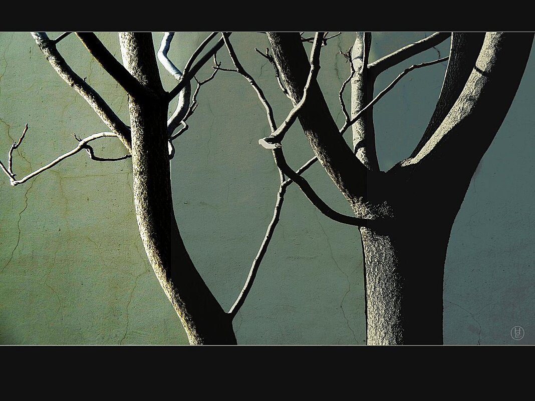 ****К*** - Николай Семёнов