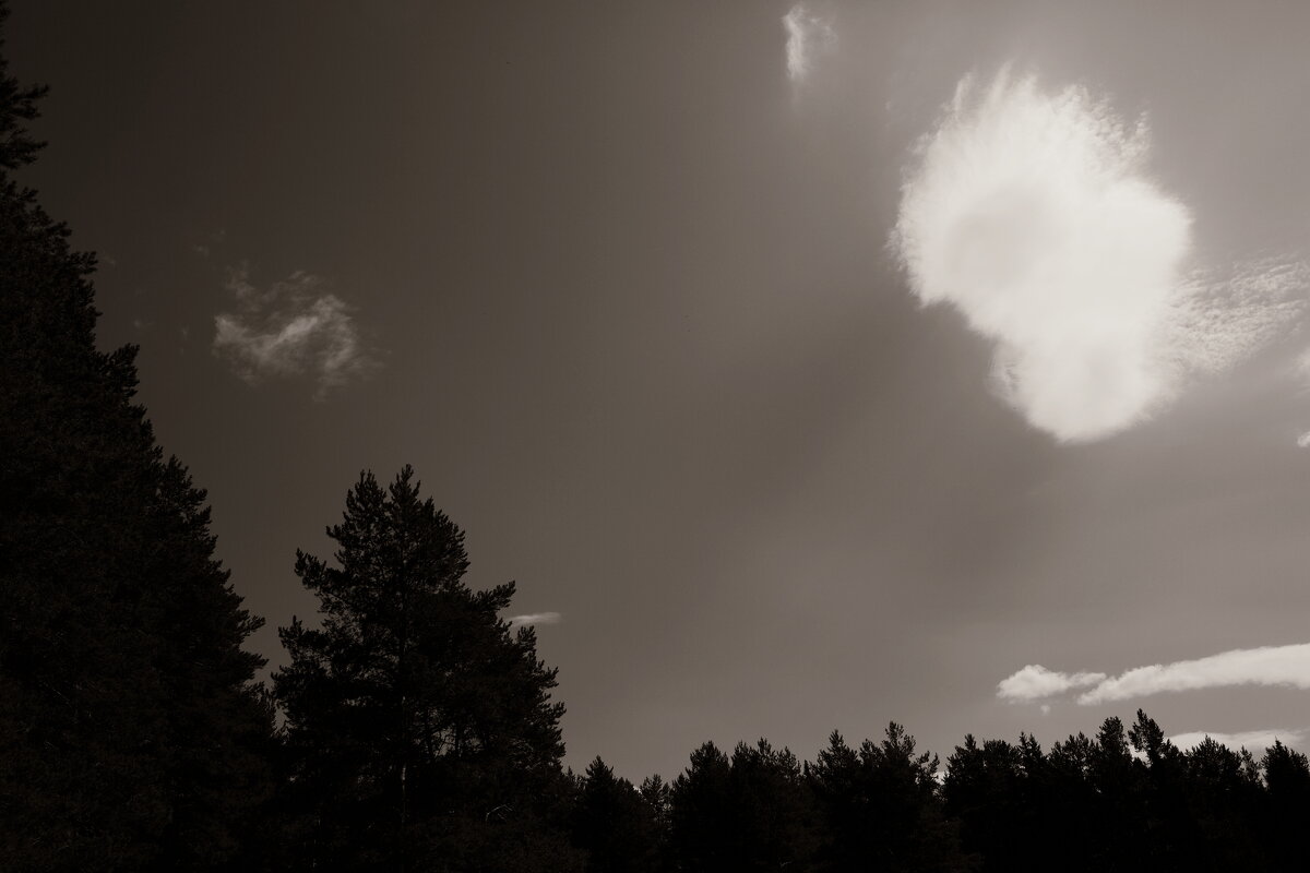 Фотография - Денис Безногов