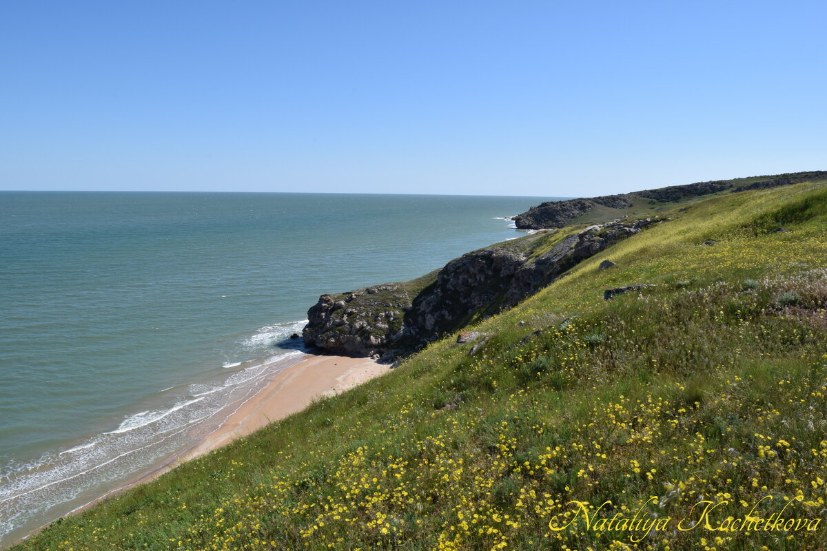 Природа Крыма - Amazing Cosmea