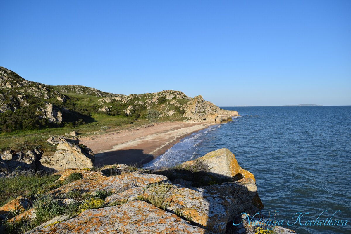 Природа Крыма - Amazing Cosmea