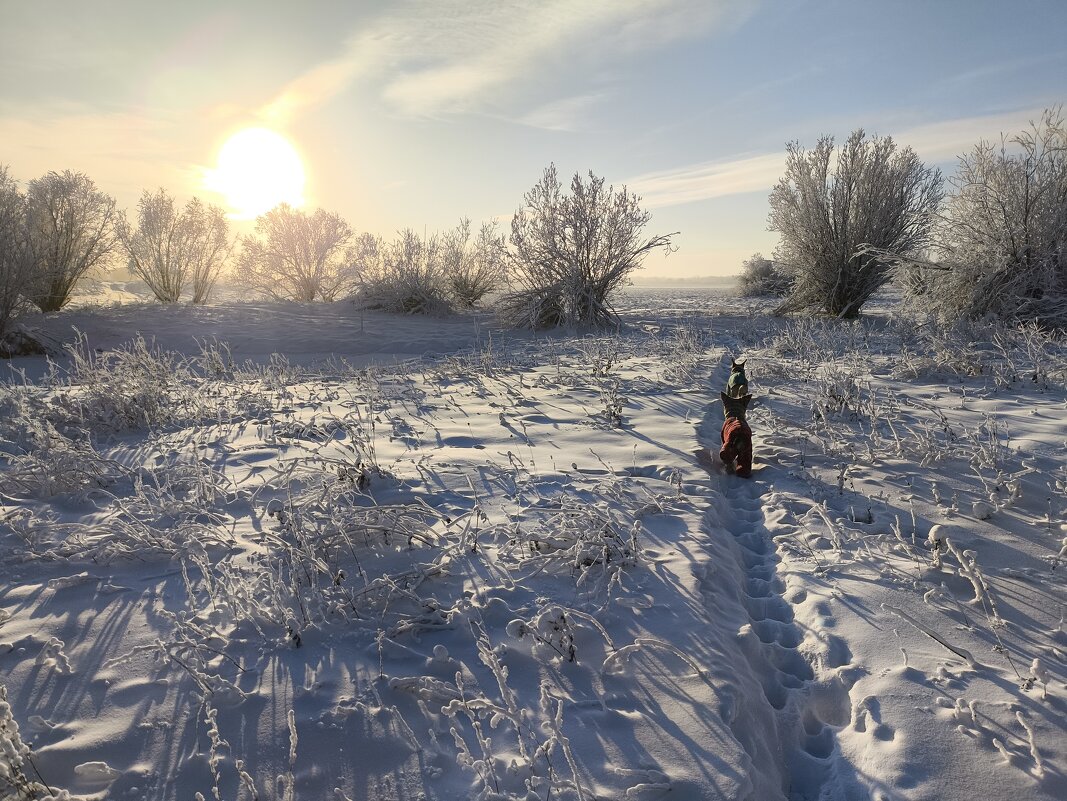 Красивый день - Anna Ivanova