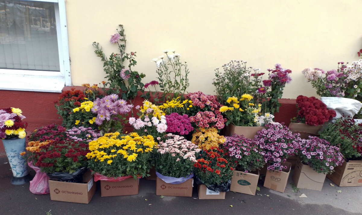 *** - Валентина Береснева