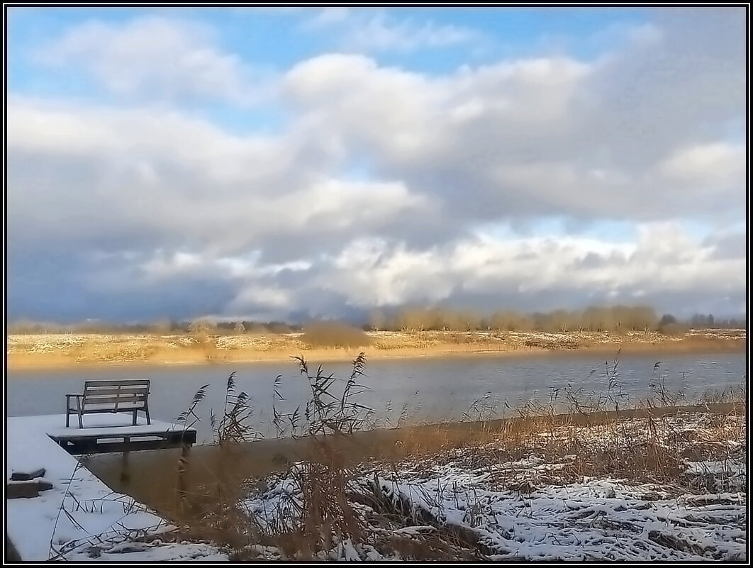 Солнечный день ноября - Ольга Довженко