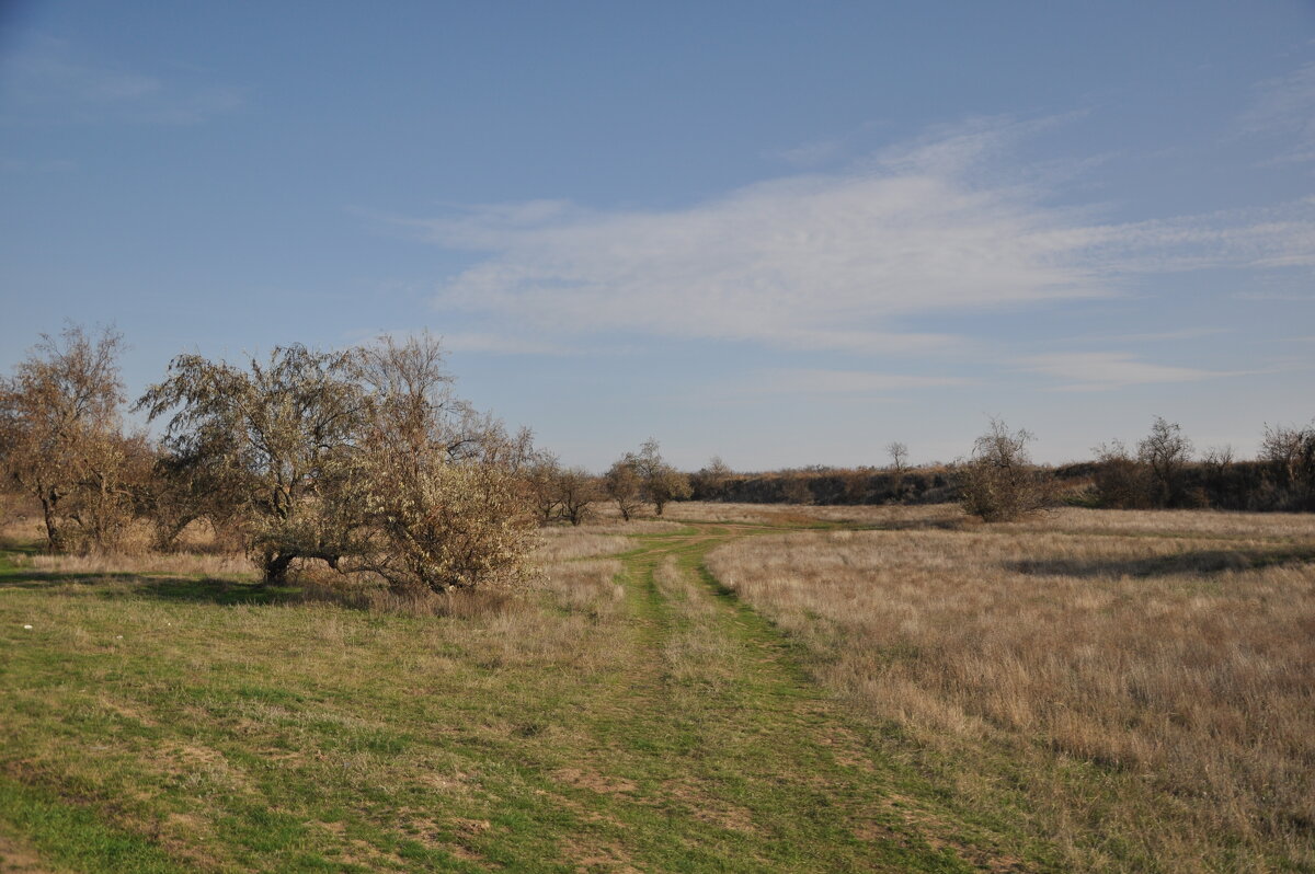Мои дороги. - Виктор 