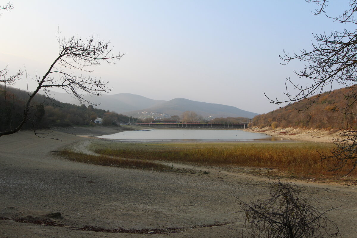 Обмелевшее кипарисовое озеро. - Екатерина Леш