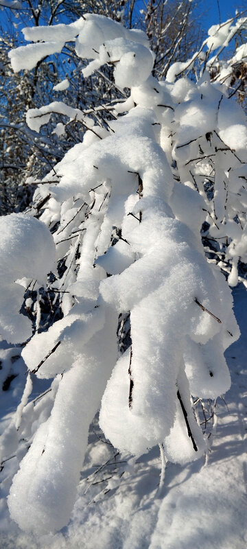 Снежный день!!! - Радмир Арсеньев
