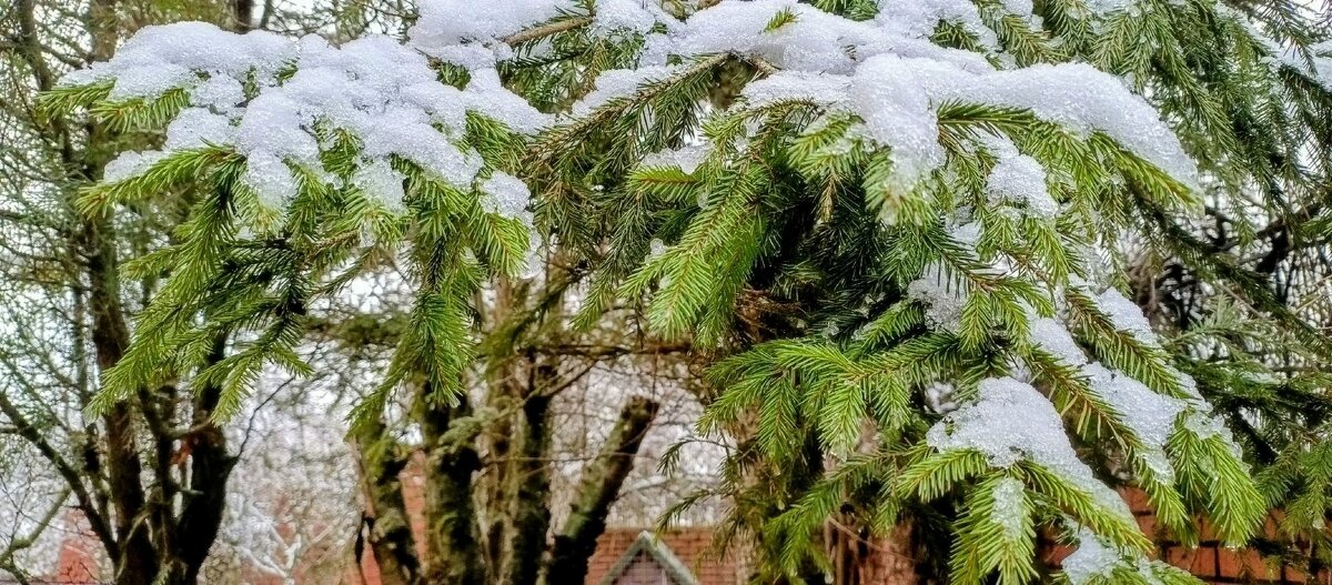Первый снег. - Михаил Столяров
