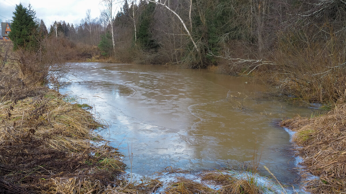 Осенний Сюжет - юрий поляков Осенний Сюжет - юрий поляков
