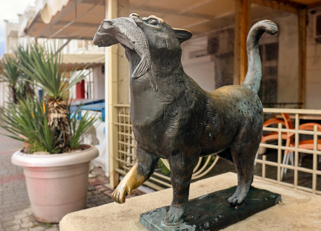 Котик Балаклавы - skijumper Иванов