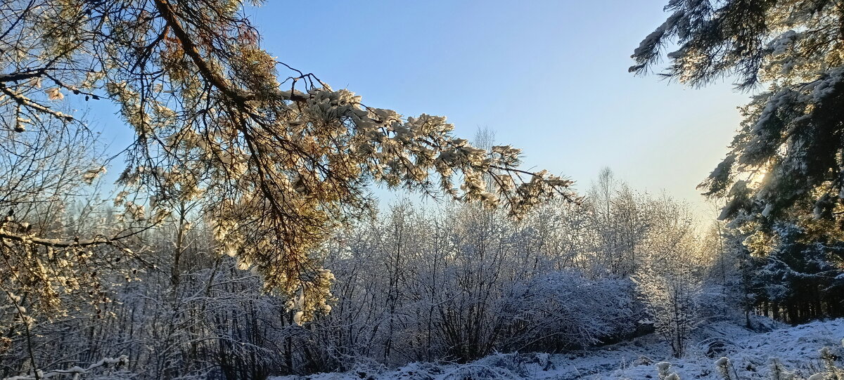 Солнечный день. - Михаил Колосов 